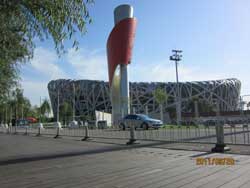 �B������ľ�ذ�